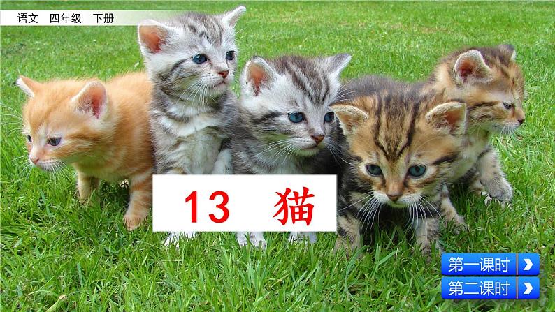 13.《猫》课件02