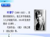 11.《白桦》课件