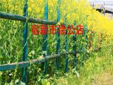 1.《古诗词三首》课件