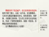 第四单元. 范文1：我的动物朋友——小鹦鹉 课件
