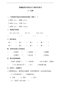 小学11 白桦同步练习题