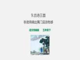 9《古诗三首·秋夜将晓出篱门迎凉有感》课件