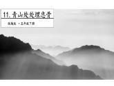 11《青山处处埋忠骨》第二课时 课件