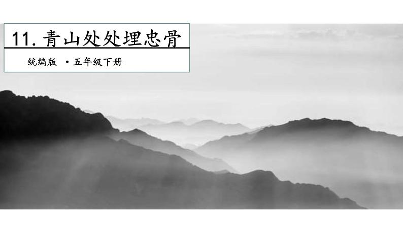 11《青山处处埋忠骨》第二课时 课件第1页