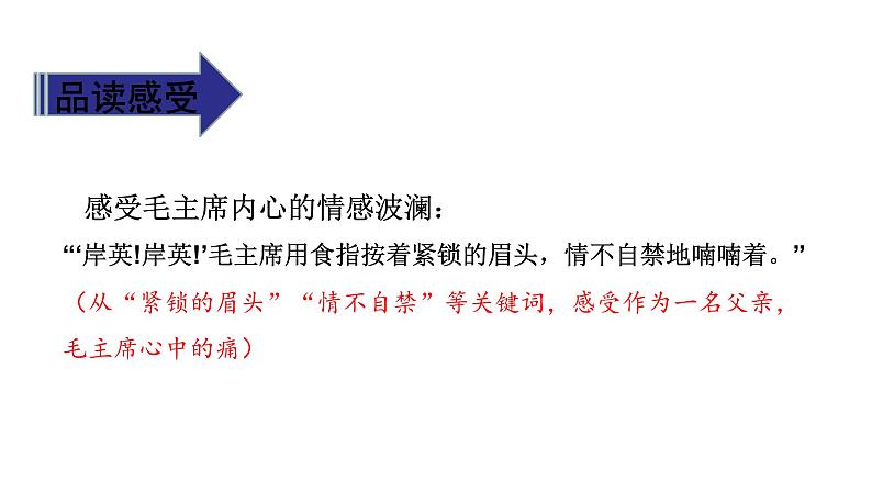 11《青山处处埋忠骨》第二课时 课件第7页