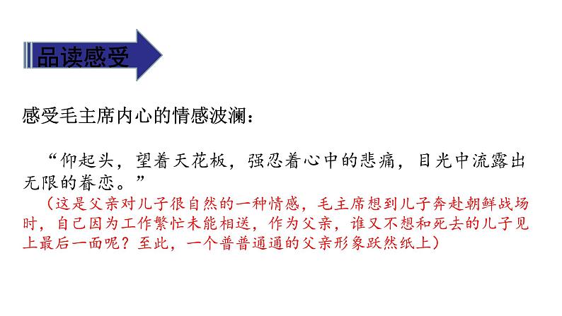 11《青山处处埋忠骨》第二课时 课件第8页