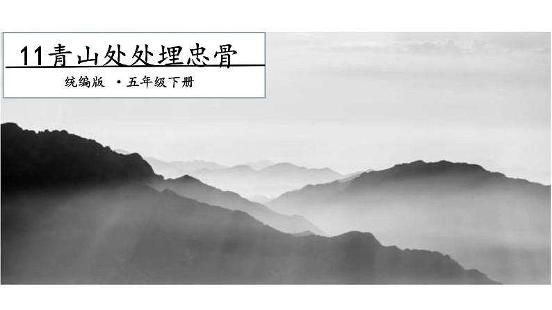 11《青山处处埋忠骨》第一课时 课件第1页