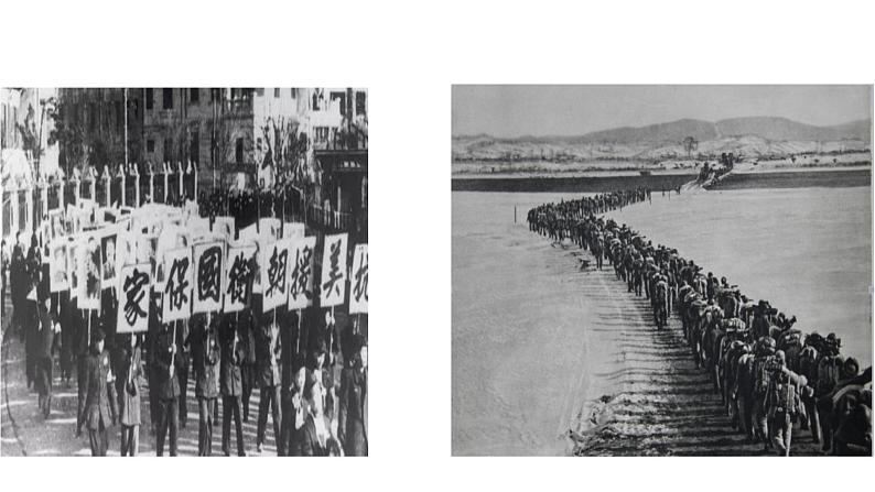 11《青山处处埋忠骨》第一课时 课件第5页