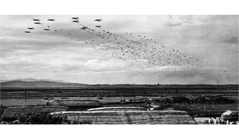 11《青山处处埋忠骨》第一课时 课件第7页