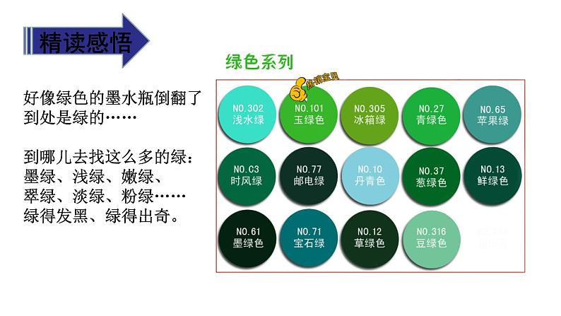 10《绿》第二课时 课件06