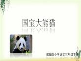 第七单元《习作：国宝大熊猫》精品课件