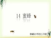 14《蜜蜂》精品课件