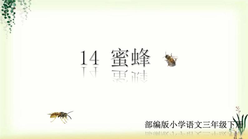 14《蜜蜂》精品课件01