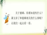 14《蜜蜂》精品课件