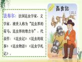 14《蜜蜂》精品课件