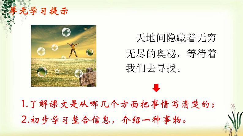 22《我们奇妙的世界》精品课件01