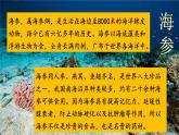 23《海底世界》精品课件