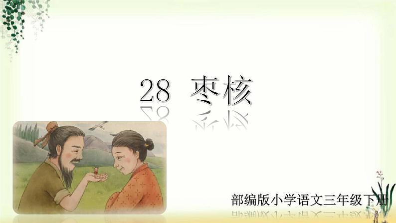 28《枣核》精品课件01