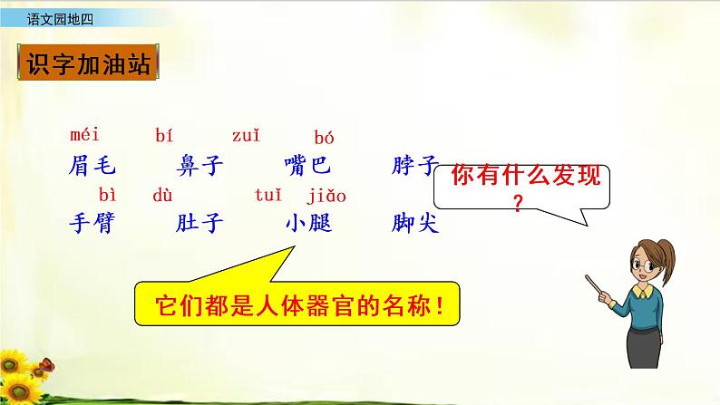 第四单元《语文园地》_语文一年级下册全册课件02