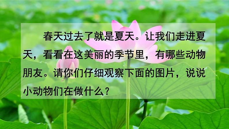 识字5《动物儿歌》精品课件第1页