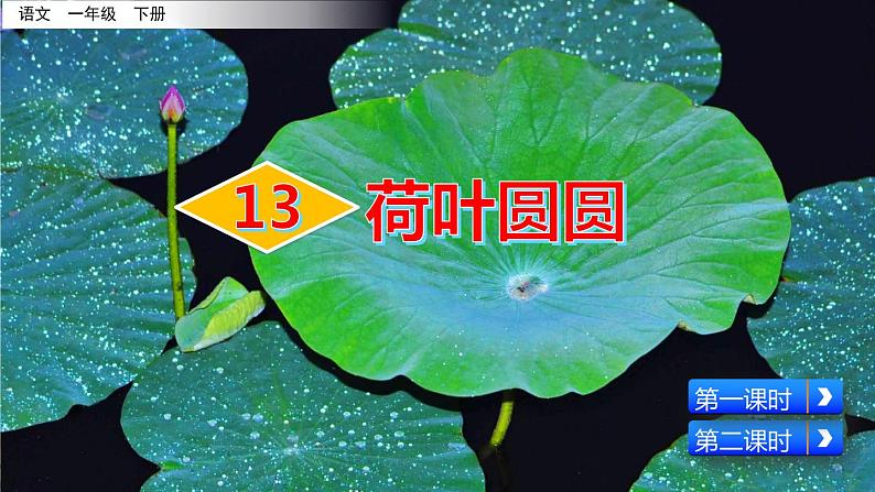 13《荷叶圆圆》精品课件02