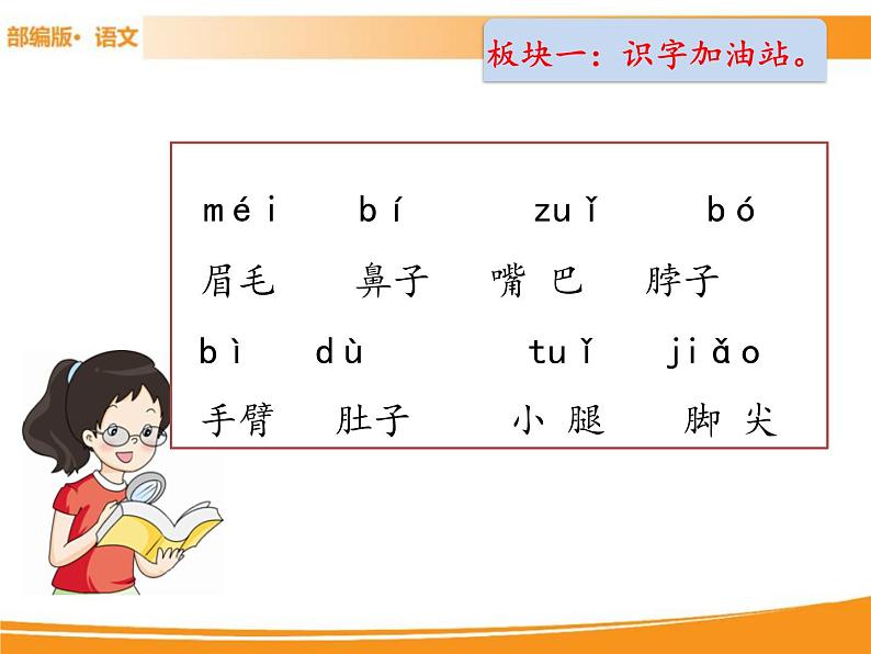 人教部编版语文一年级下册 第四单元 语文园地 课件02