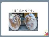 识字3 “贝”的故事 课件