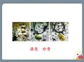 识字3 “贝”的故事 课件