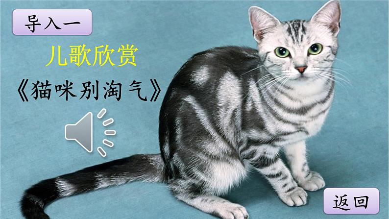 《猫》优质课件02