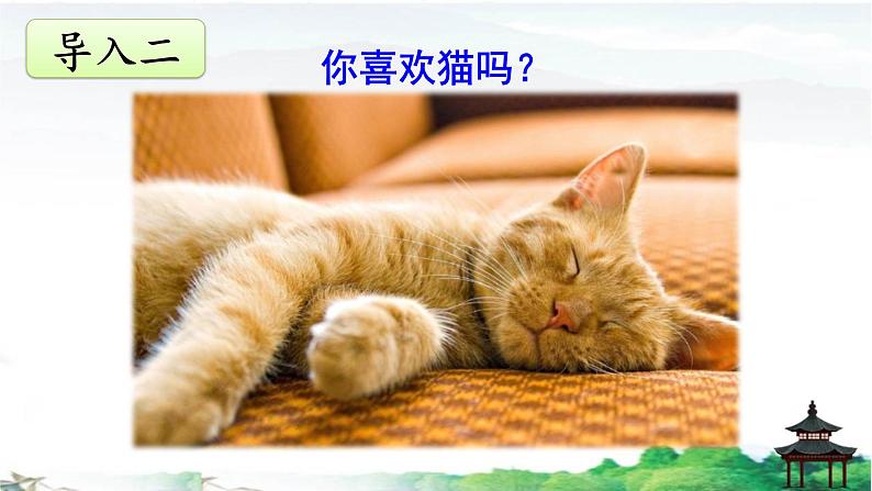 《猫》优质课件03