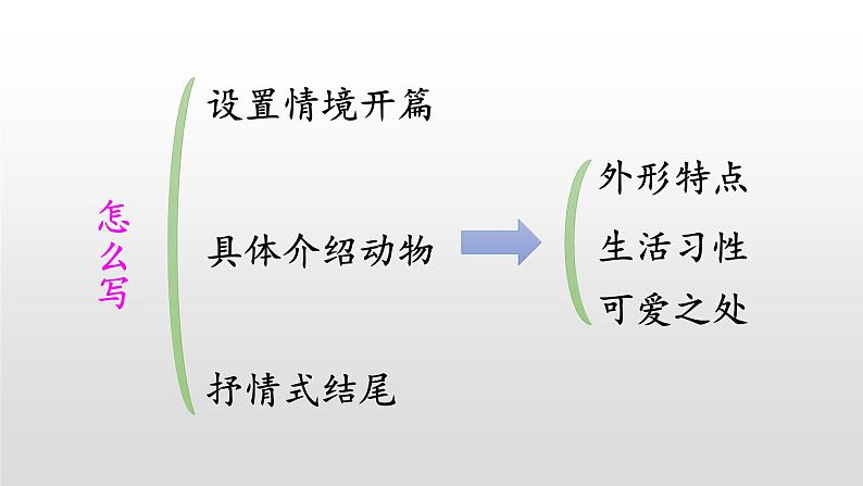 《习作：我的动物朋友》优质课件05