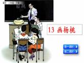部编版二年级下册语文13 画杨桃 课件