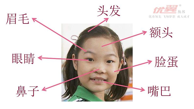 部编版二年级下册语文语文园地二——一个好朋友 课件06