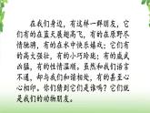 第四单元《习作·我的动物朋友》第一课时 课件