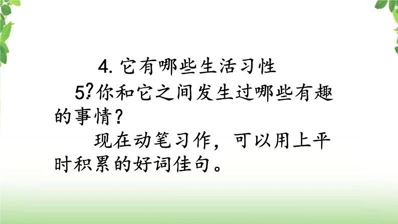 第四单元《习作·我的动物朋友》第二课时 课件04