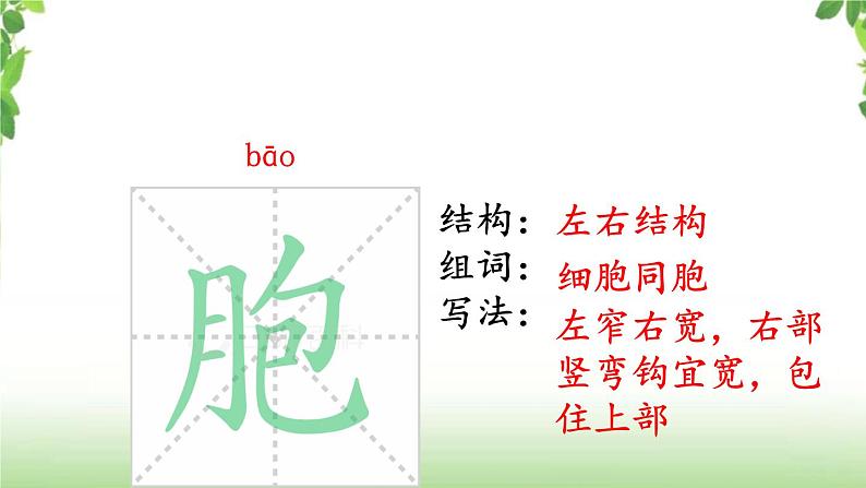 7《纳米技术就在我们身边》第一课时 课件08