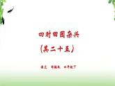 1 《古诗三首之四时田园杂兴》 课件