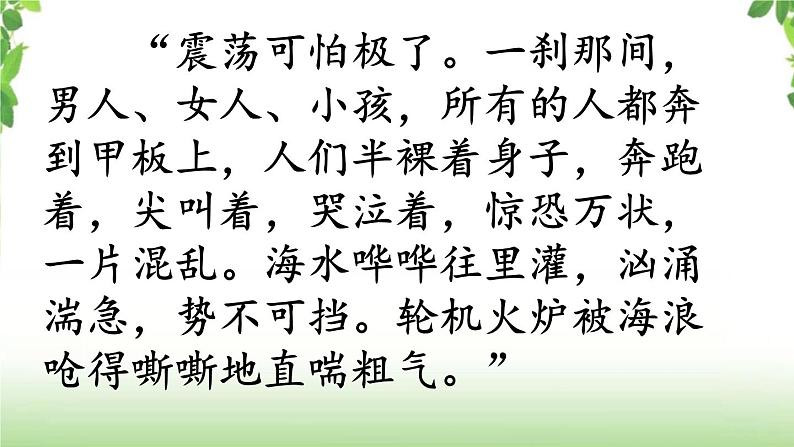 23《“诺曼底号”遇难记》第二课时 课件第6页