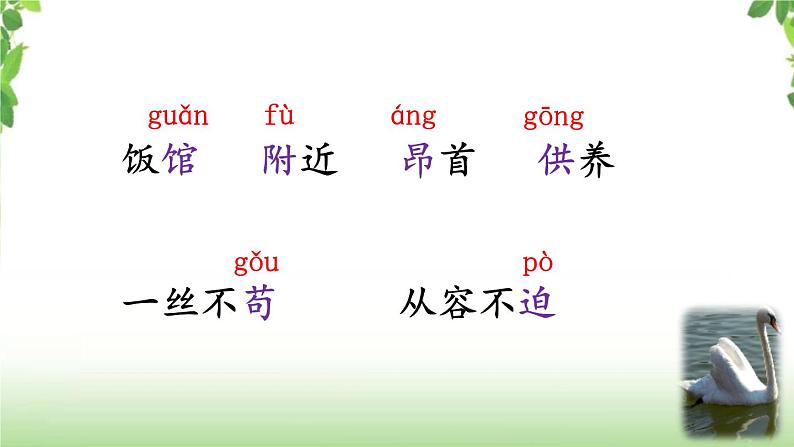 15《白鹅》第一课时 课件06