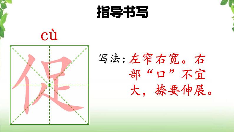 15《白鹅》第一课时 课件第7页