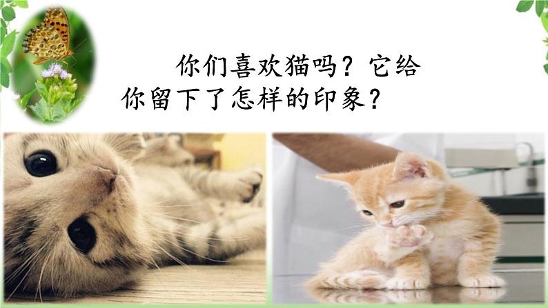 13《猫》第一课时 课件07