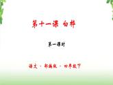 11《白桦》第一课时课件