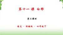 小学语文人教部编版四年级下册第三单元11 白桦评优课课件ppt