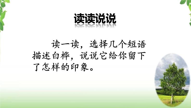 11《白桦》第二课时 课件03