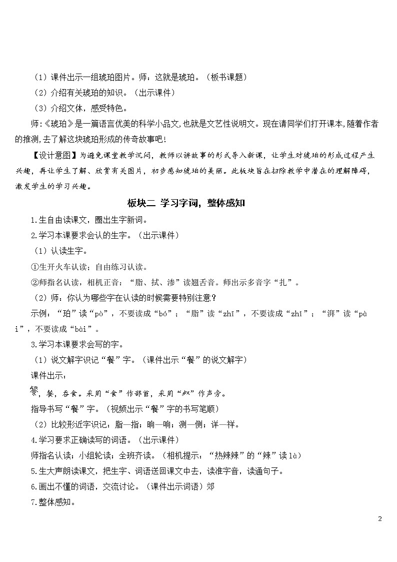 5 琥珀 教案02