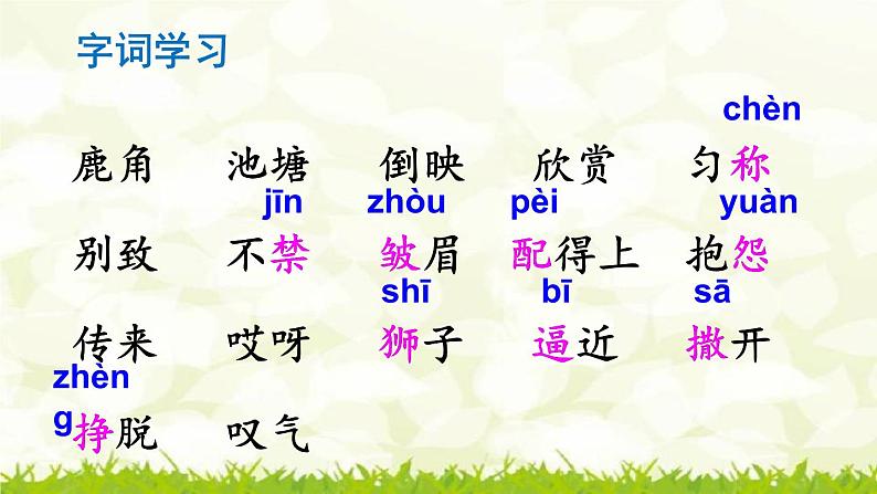 第7课《鹿角和鹿腿》课件06