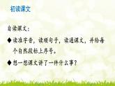 第14课《蜜蜂》课件