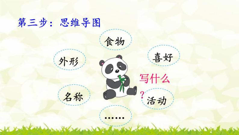 第七单元《习作：国宝大熊猫》课件04
