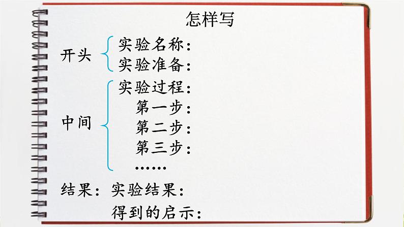 第四单元《习作：我做了一项小实验》课件第5页