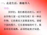 2《落花生》第二课时 课件